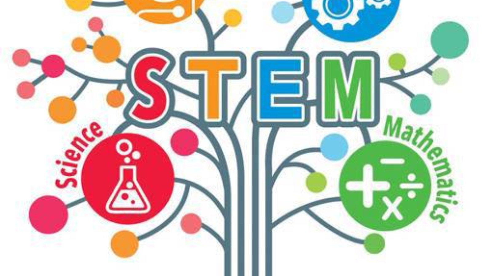 what is STEM