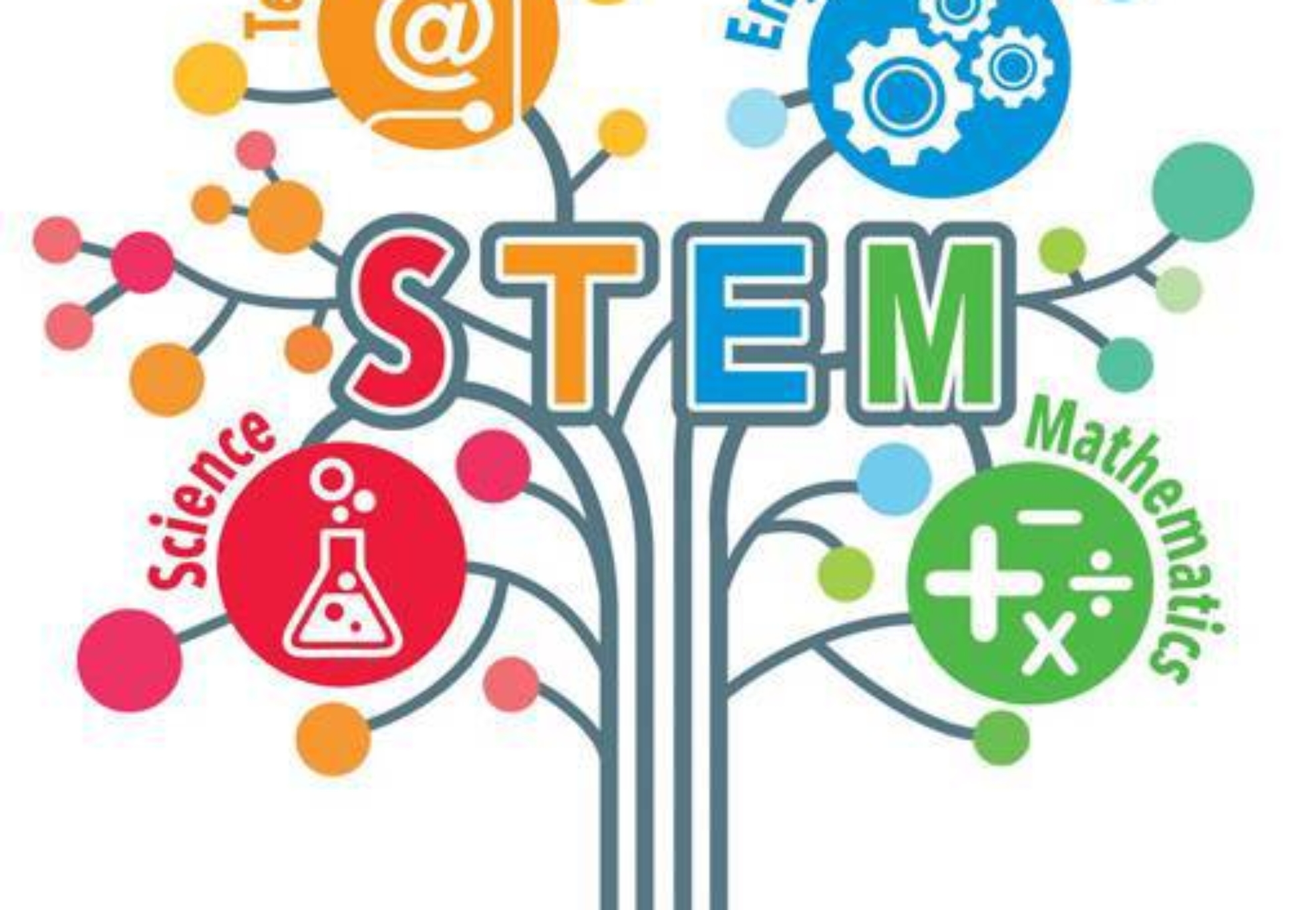 what is STEM