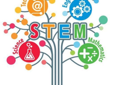 what is STEM